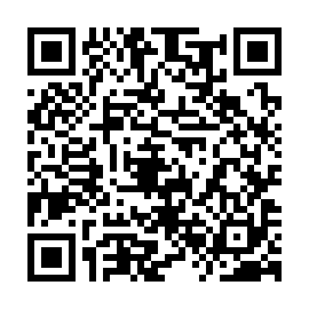 QR code for 9RO390R