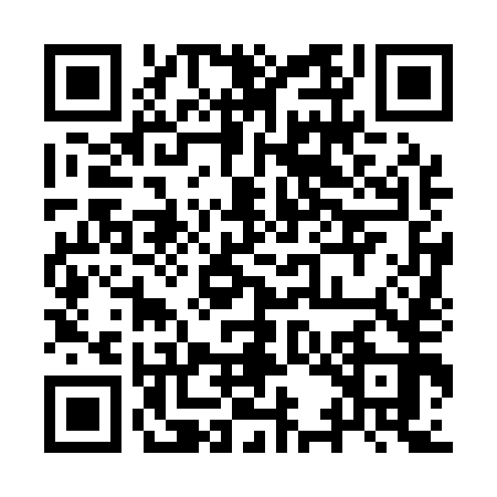 QR code for 9SN153P