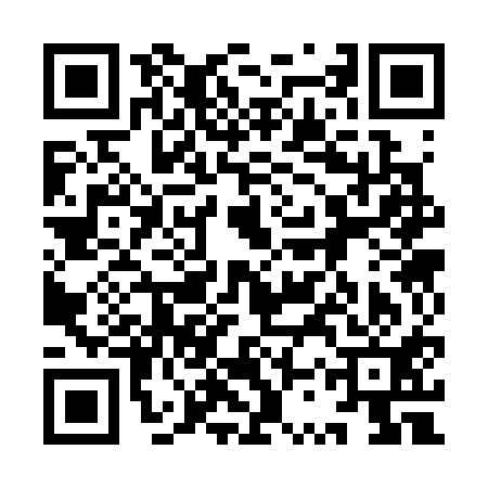 QR code for 9SS311M
