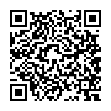 QR code for 9YV006G