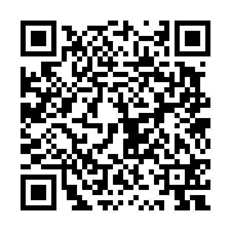 QR code for 9ZS420G