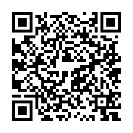 QR code for 9ZZ520T
