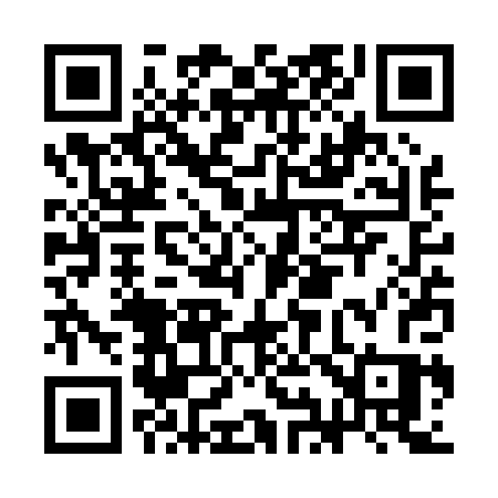 QR code for CI3P0S