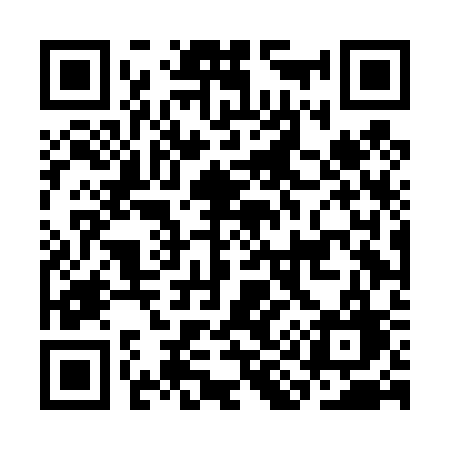 QR code for CI4D3G