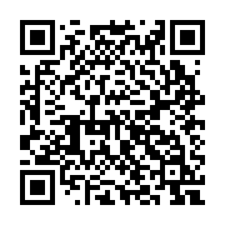 QR code for CL0C1N