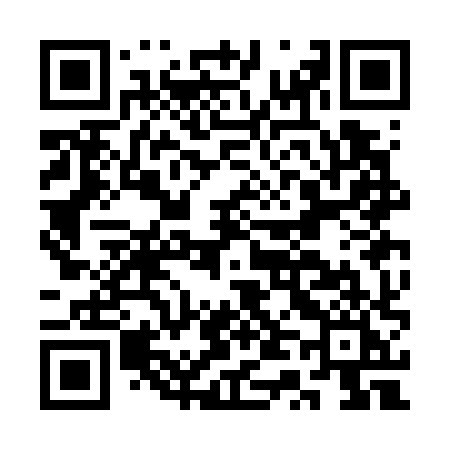 QR code for CT3G8I