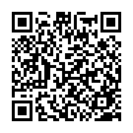 QR code for CT8A0D
