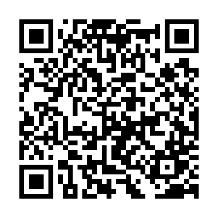 QR code for DD4G4T