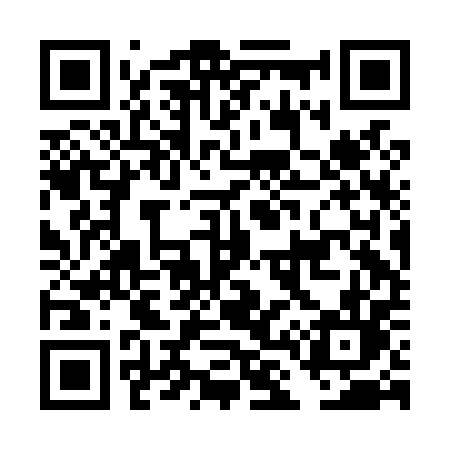 QR code for DL2L0L