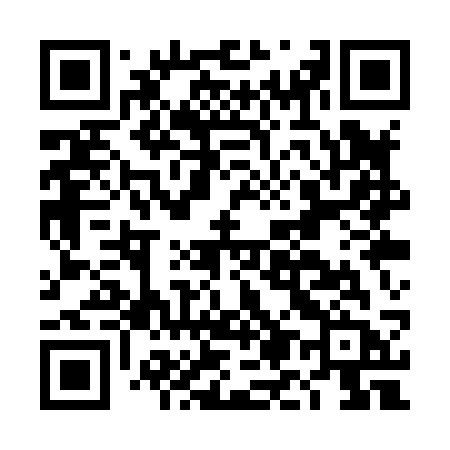 QR code for DM1X3B