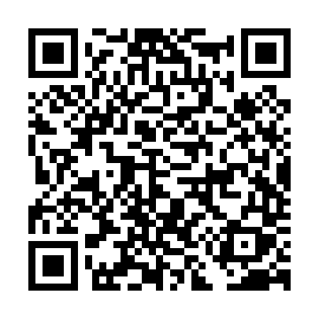 QR code for DM2P4Y