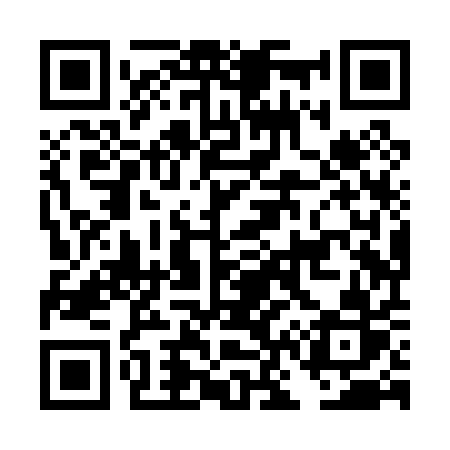 QR code for DN8P1R