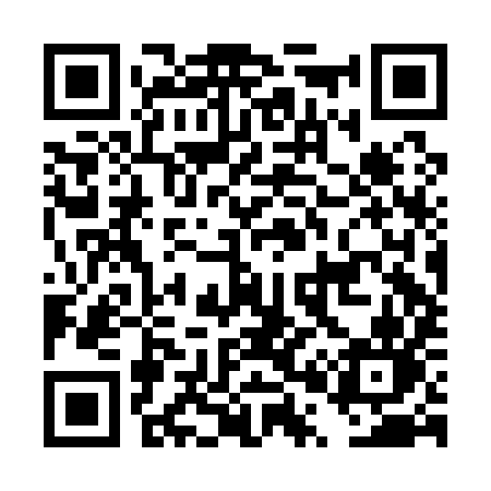 QR code for DP2A9N