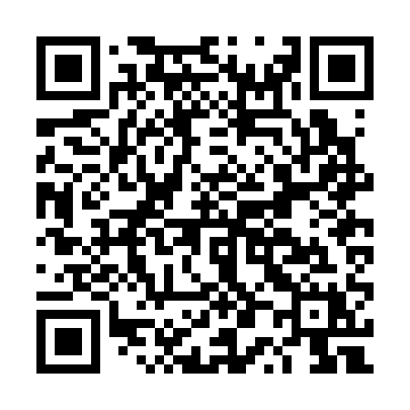 QR code for DP2C1X