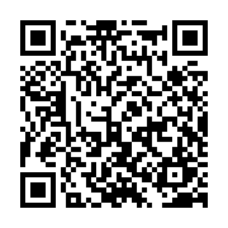 QR code for DP2Z2T