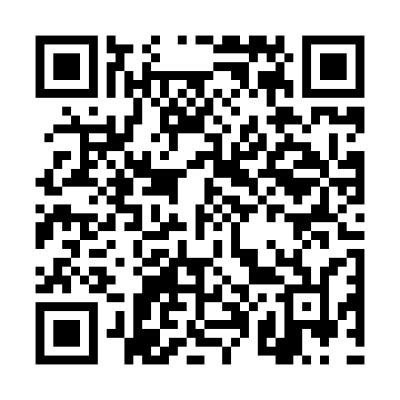 QR code for DP4X3N