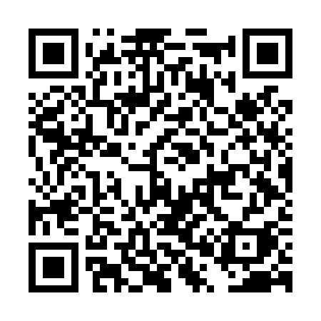 QR code for DP6L3I