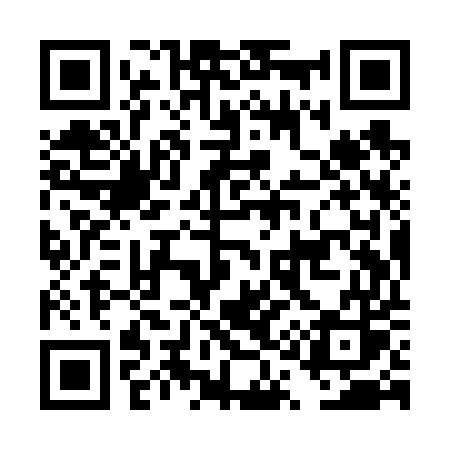 QR code for DQ9V5S
