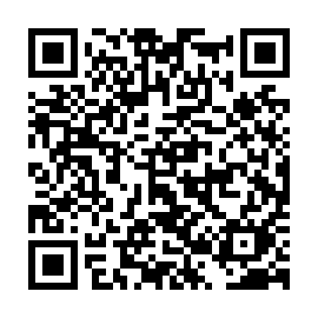 QR code for DR0N1M