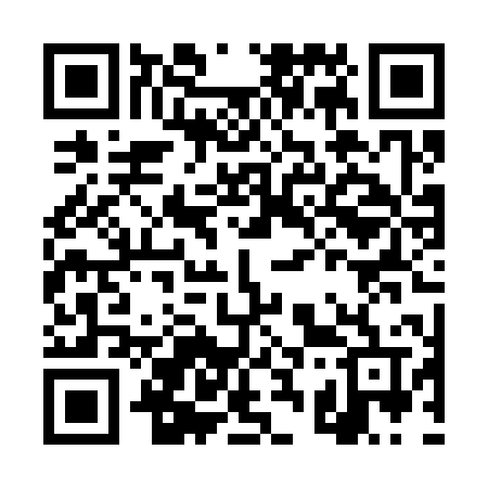 QR code for DS0S0V