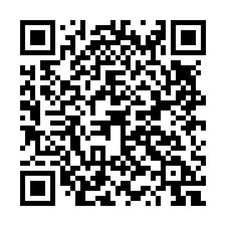 QR code for DS1N1D