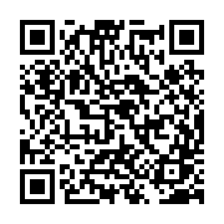 QR code for DS1R4S