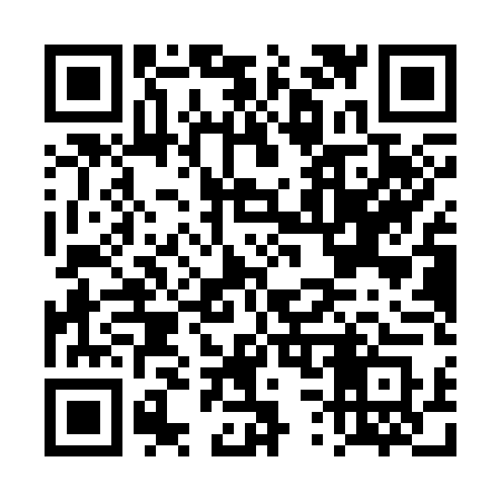 QR code for DS1S4S