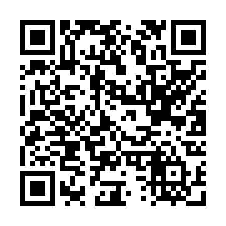 QR code for DS2N2T