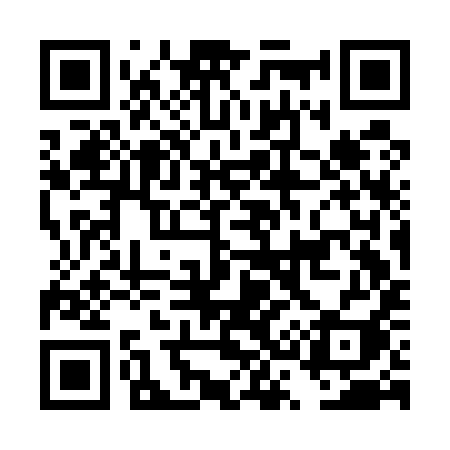 QR code for DS3E9I
