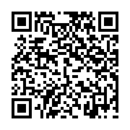 QR code for DS3M0N