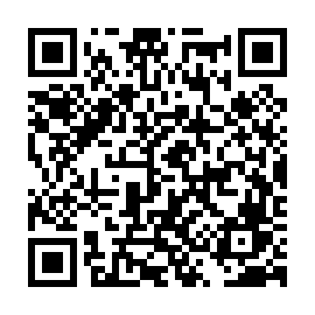 QR code for DS3P6V