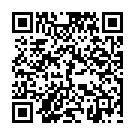 QR code for DS3S0R