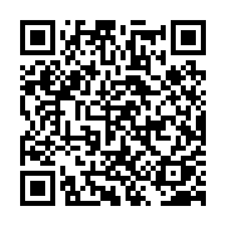 QR code for DS4R1Q