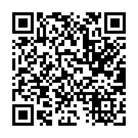 QR code for DS4S8G