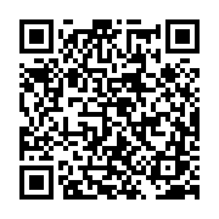 QR code for DS4X6S