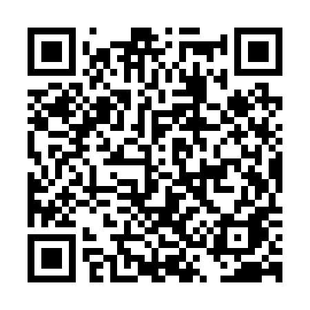 QR code for DS9R0A