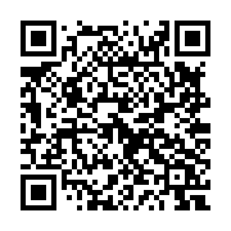 QR code for DT2X4V
