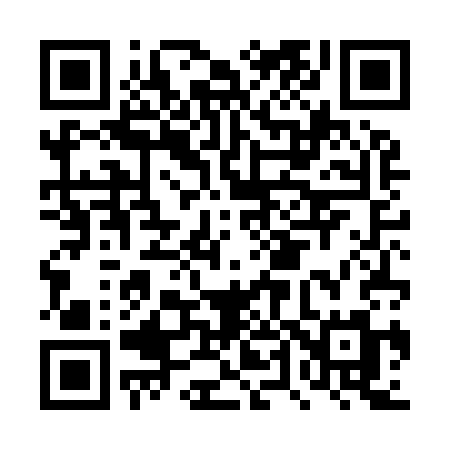 QR code for DT4I3M
