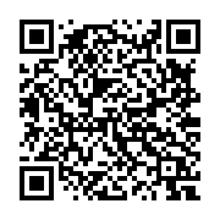 QR code for DZ2X4P