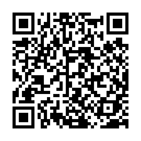 QR code for EV0V0I