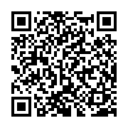 QR code for FI0R3S