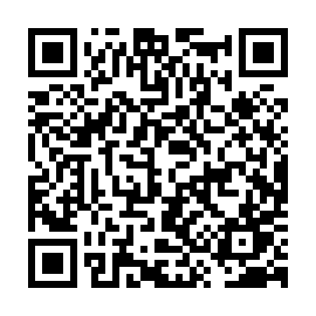 QR code for FS0X0T