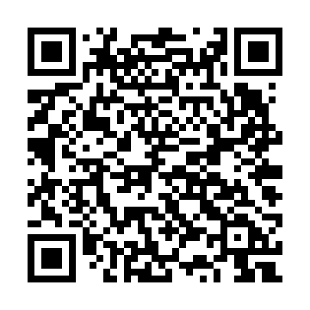 QR code for FS4V2D