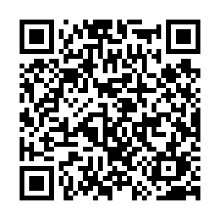 QR code for GU4V3L