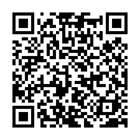 QR code for HM4D2I