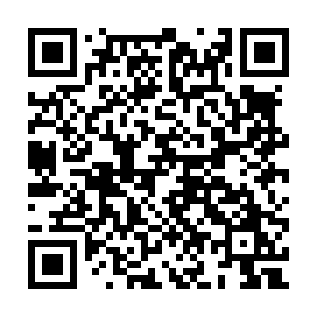 QR code for HO1L0O