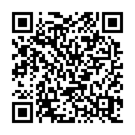 QR code for HO1S0T
