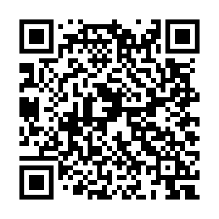 QR code for HO4O6I