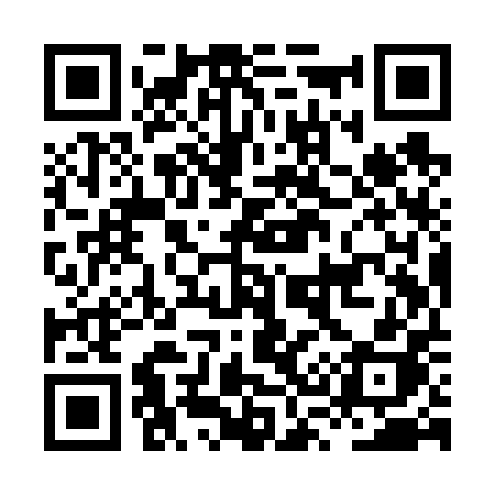 QR code for HS9V0H