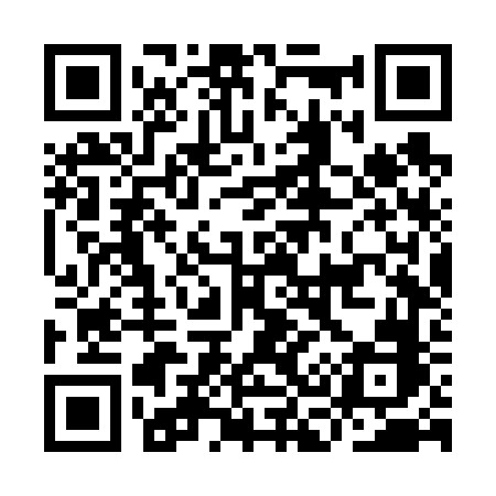 QR code for IC6V6B